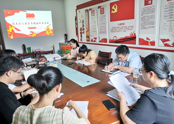 安博电子党支部召开党史学习教育专题组织生活会