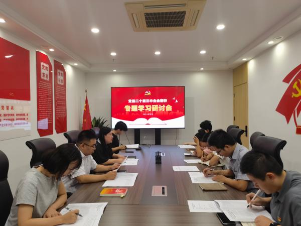 安博电子党支部召开党的二十届三中全会精神专题学习会